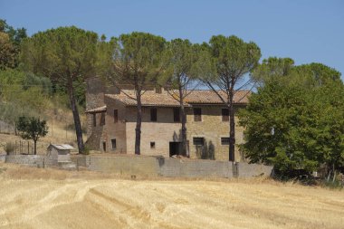 Yaz manzara Perugia yakınında