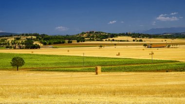 Yaz manzara Perugia yakınında