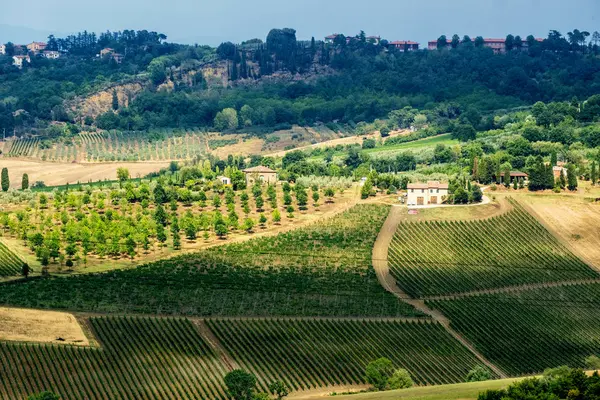 Sommerlandschaft in der Nähe von Montepulciano — Stockfoto