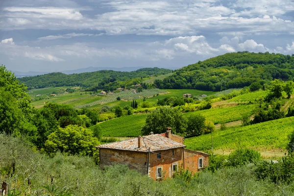 Letní krajina u Montepulciano — Stock fotografie