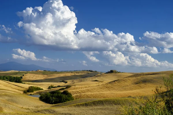 Paysage estival près de Asciano — Photo