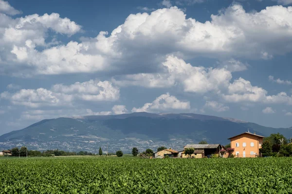 Landskapet i Umbrien mellan Spello och Perugia — Stockfoto