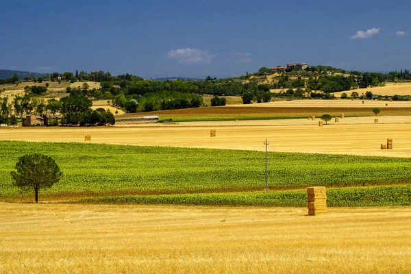 Sommarlandskap nära Perugia — Stockfoto