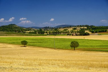 Yaz manzara Perugia yakınında