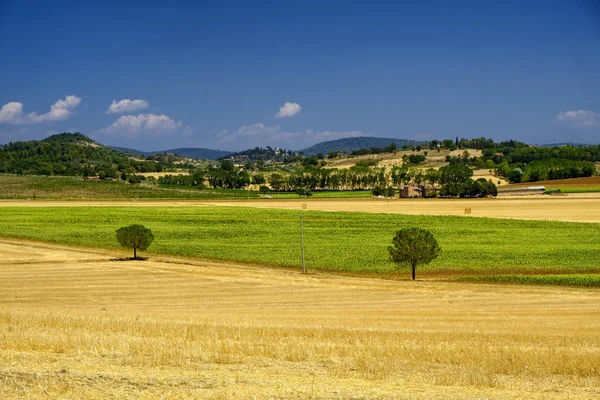 Yaz manzara Perugia yakınında