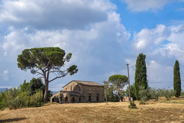 Chiusi ve Chianciano yakınındaki yaz manzara