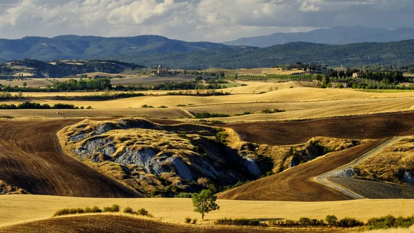 Sommerlandschaft bei Asciano — Stockfoto