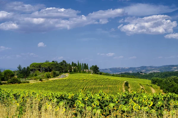 Paesaggio estivo vicino Città della Pieve — Foto Stock