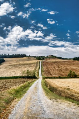Tuscany: Torre bir Castello için yol