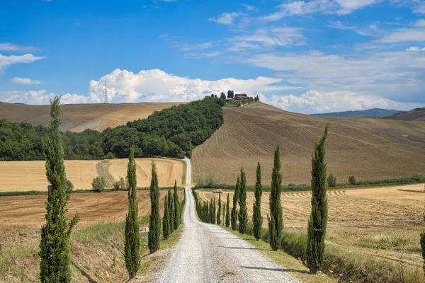 Toscana: a estrada para Torre a Castello — Fotografia de Stock