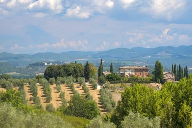 Chianti bölgesinde (Toskonya eski tipik çiftlik)