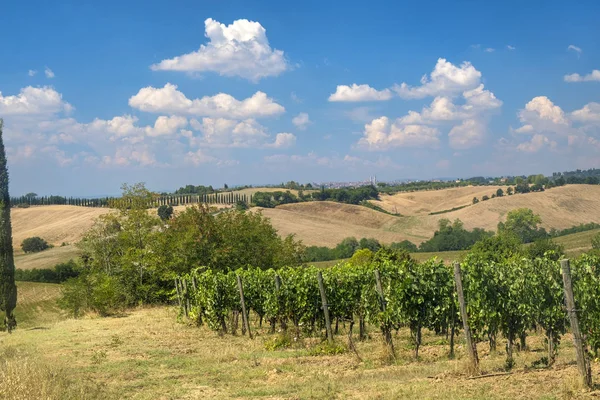 Paysage estival dans la région du Chianti (Toscane ) — Photo
