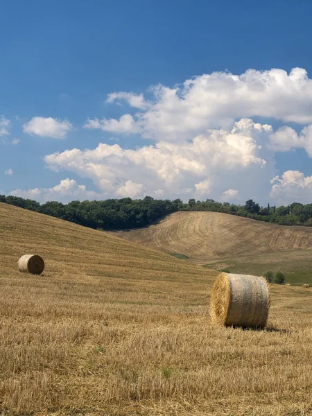 Letní krajina v regionu Chianti (Toskánsko) — Stock fotografie