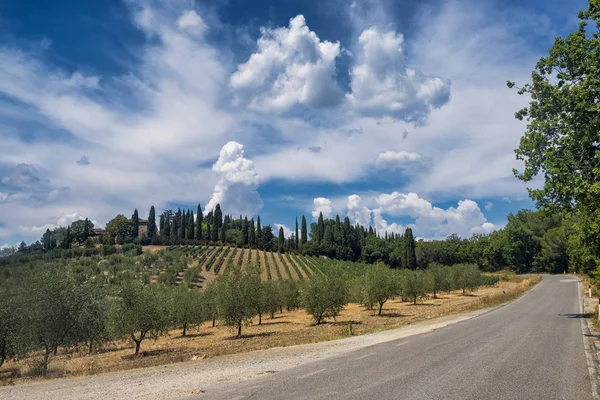 Καλοκαιρινό τοπίο στην περιοχή Chianti (Τοσκάνη) — Φωτογραφία Αρχείου