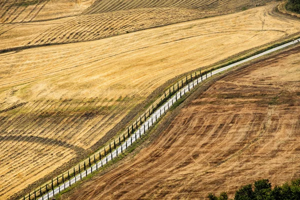 Toscana: la strada per Torre a Castello — Foto Stock