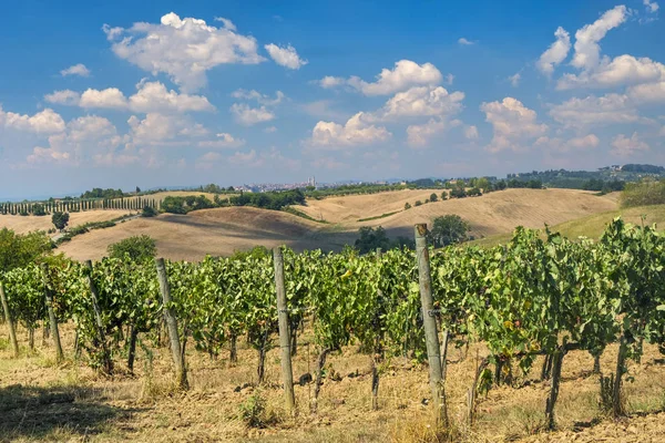 Καλοκαιρινό τοπίο στην περιοχή Chianti (Τοσκάνη) — Φωτογραφία Αρχείου