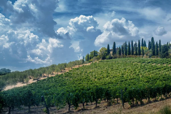 Yaz peyzaj (Toskonya Chianti bölgesinde) — Stok fotoğraf