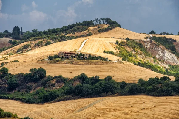 Toscane : la route de Torre a Castello — Photo