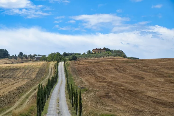 Tuscany: the road to Torre a Castello — Stock Photo, Image