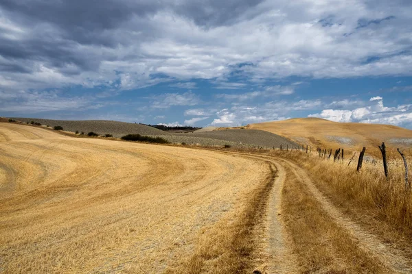 Tuscany: the road to Torre a Castello — Stock Photo, Image