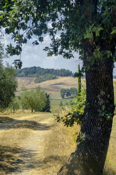 Zomer landschap in de Chianti-streek (Toscane) — Stockfoto