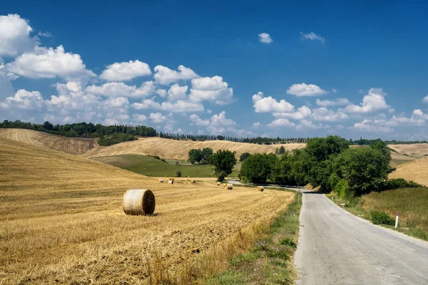 Paesaggio estivo nel Chianti (Toscana) ) — Foto Stock