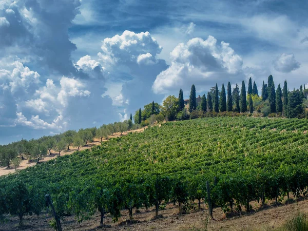 Paisaje de verano en la región del Chianti (Toscana ) — Foto de Stock