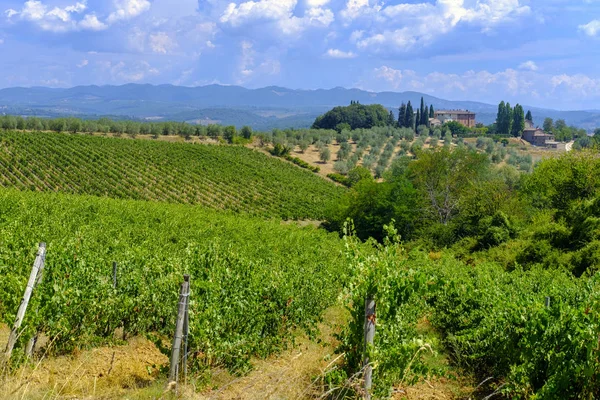 Sommarlandskap i regionen Chianti (Toscana) — Stockfoto