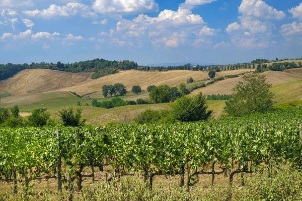 Καλοκαιρινό τοπίο στην περιοχή Chianti (Τοσκάνη) — Φωτογραφία Αρχείου