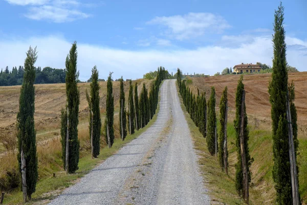 Тоскана: дорога в Торре-а-Кастелло — стоковое фото