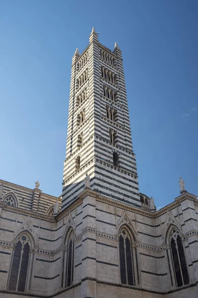 Siena, İtalya: tarihi binaları, (Duomo Katedrali) — Stok fotoğraf