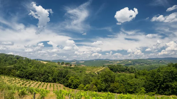 Paisaje de verano en la región del Chianti (Toscana ) — Foto de Stock