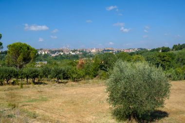 Yaz peyzaj (Toskonya Chianti bölgesinde)