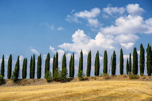 Paesaggio estivo nel Chianti (Toscana) ) — Foto Stock