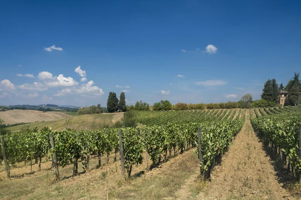 Letní krajina v regionu Chianti (Toskánsko) — Stock fotografie