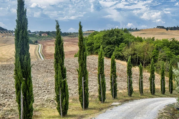 Тоскана: дорога в Торре-а-Кастелло — стоковое фото