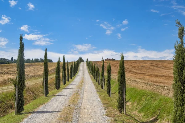 Toskana: der weg zum torre a castello — Stockfoto