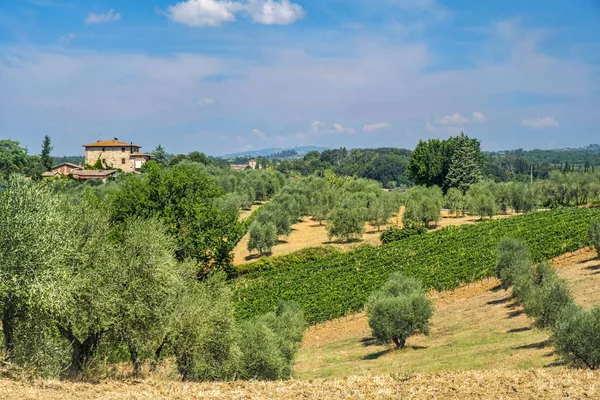 Krajobraz lato w regionie Chianti (Toskania) — Zdjęcie stockowe