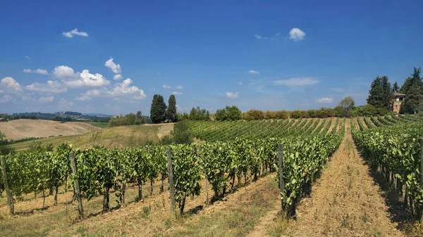 Krajobraz lato w regionie Chianti (Toskania) — Zdjęcie stockowe