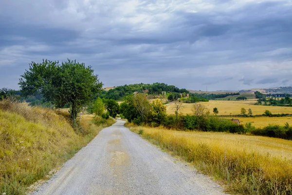 Toskana: der weg zum torre a castello — Stockfoto