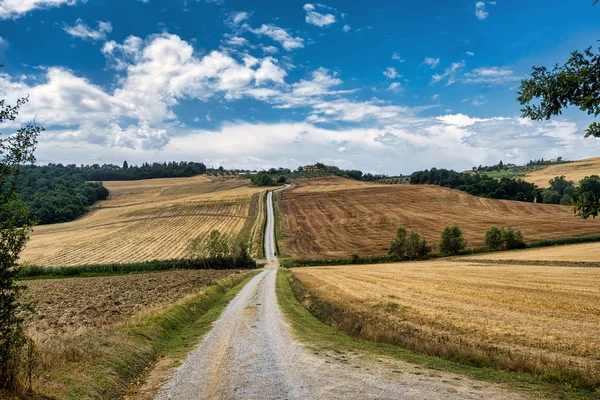 Toscana: a estrada para Torre a Castello — Fotografia de Stock