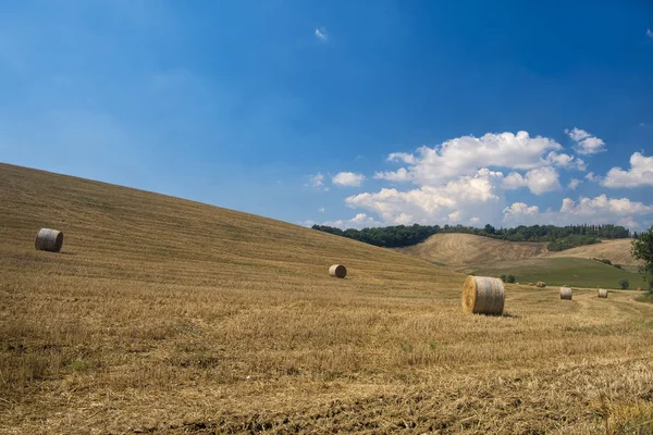 Sommerlandschaft im Chianti (Toskana)) — Stockfoto