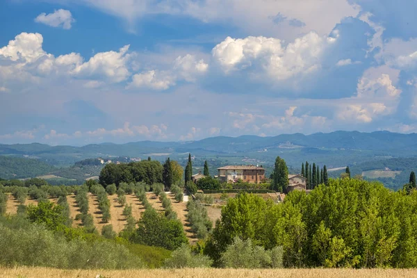 Zomer landschap in de Chianti-streek (Toscane) — Stockfoto