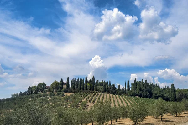 Paisagem de verão na região de Chianti (Toscana ) — Fotografia de Stock