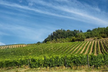 San Gimignano (Toskonya manzara)
