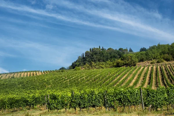 Landschaft in der Nähe von San Gimignano (Toskana)) — Stockfoto