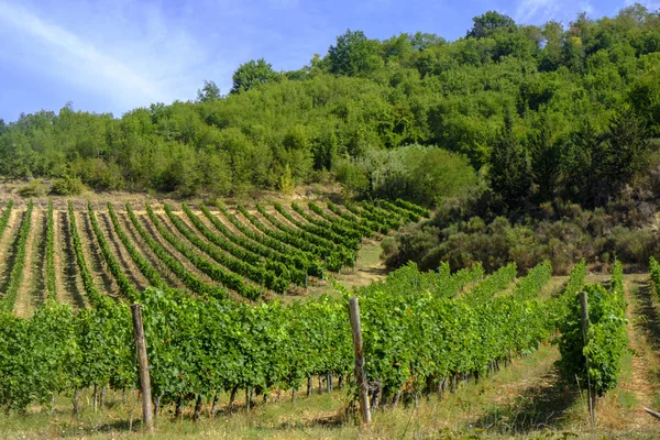 Landschaft in der Nähe von San Gimignano (Toskana)) — Stockfoto