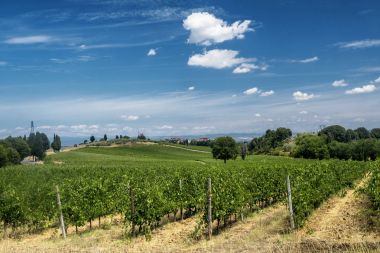 San Gimignano (Toskonya manzara)
