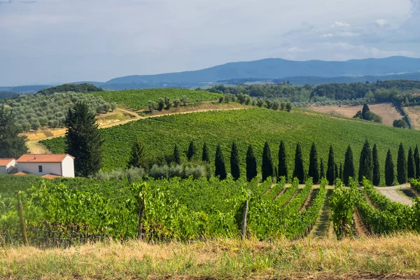 Sommarlandskap i regionen Chianti (Toscana) — Stockfoto