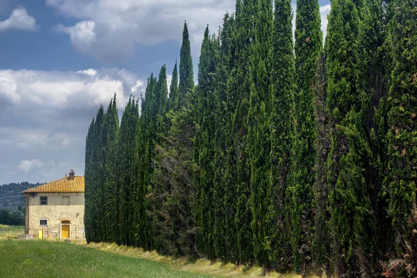 Sommerlandschaft in der Nähe von Volterra, Toskana — Stockfoto